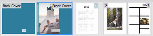 Access cover design for a diary in Momento software